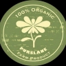 Purslane store, production and sale of all kinds of pickles, salt, jams and homemade pastes in Esfarayen