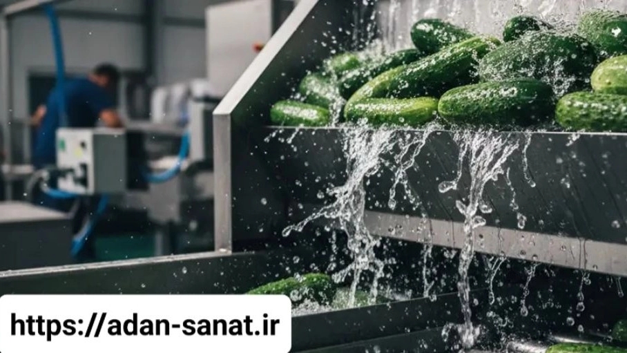 Principles of safety and health in the production line of industrial pickled cucumbers to increase the productivity and health of employees