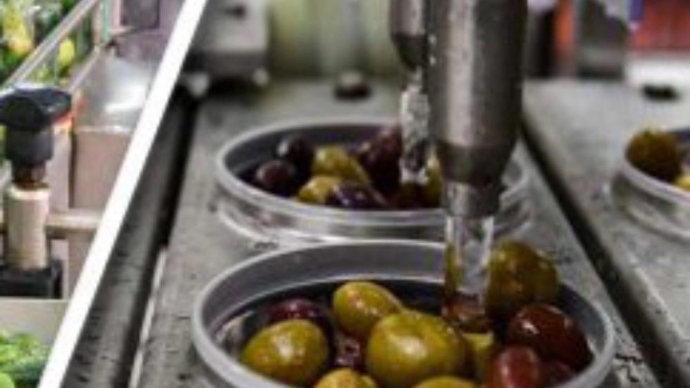 olive lifter in industrial production lines; Increasing productivity and processing quality