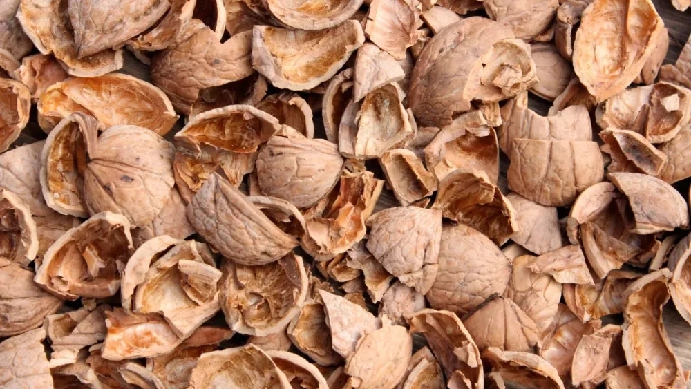 Abdallahi Dry Fruits, selling saffron nuts and walnut shells in Kurdistan