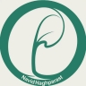 Pozhan flower shop, sale and distribution of flowers and plants in Mashhad