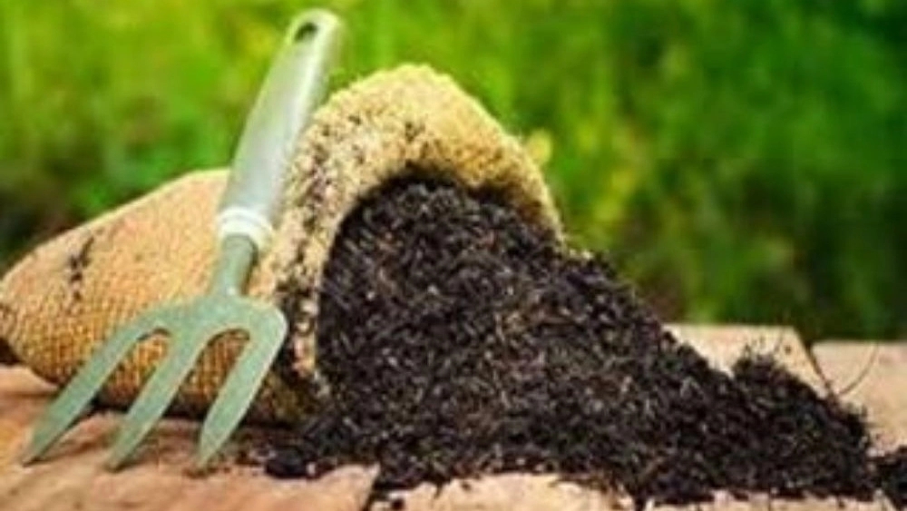 Amiri distribution, sale of all kinds of garden and potting soil in Shalman