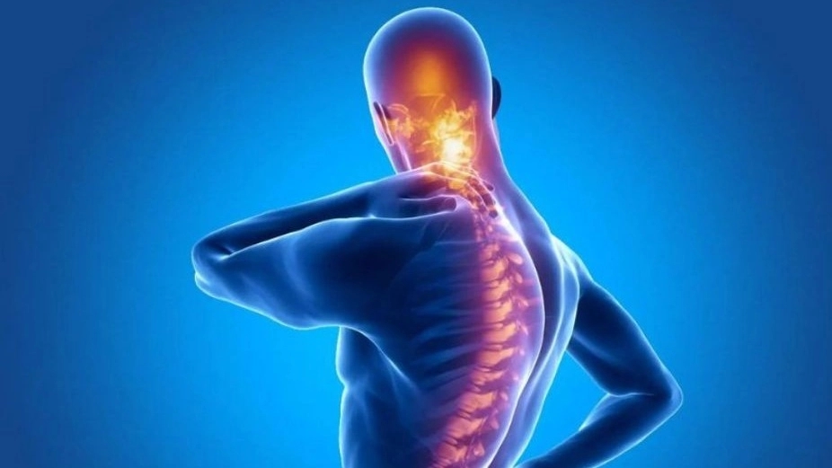 Rastgar therapist, specialist in nanotherapy and pathology of joints in Tehran