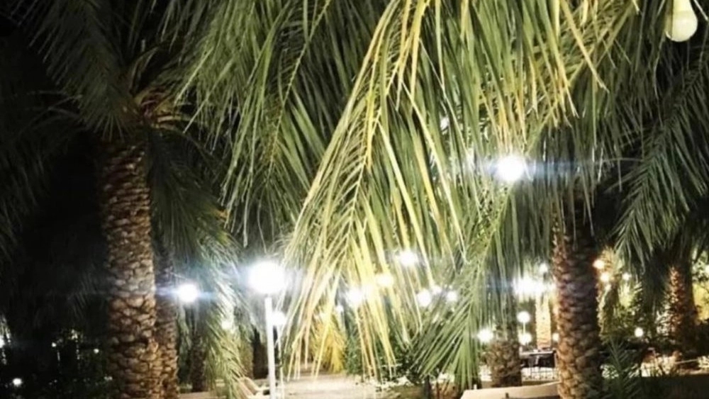 Ecotourism and rain tourism accommodation, garden rental and host of celebrations in Kerman