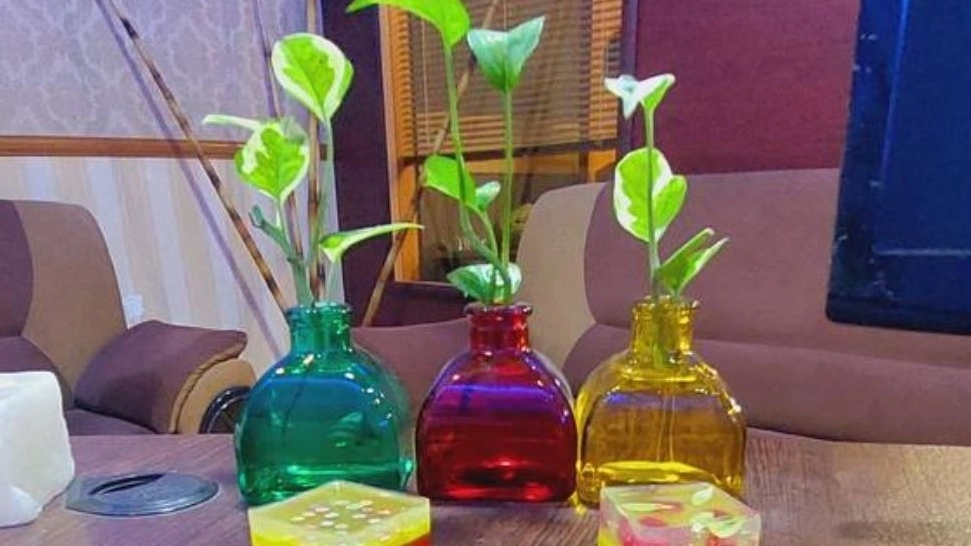 Mad school, teaching medicinal plants and traditional medicine and massage in Shiraz