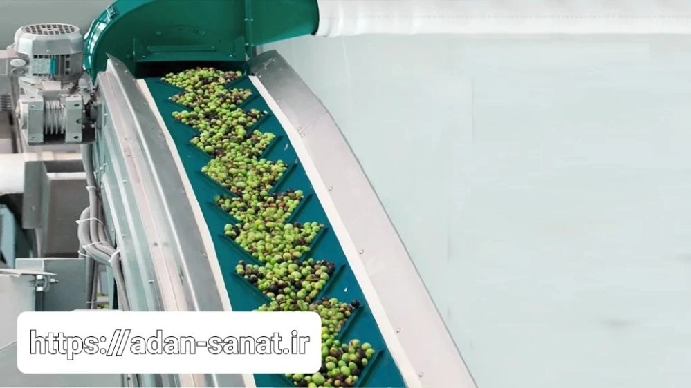 The importance of the olive grading machine in increasing the quality and profitability of producers