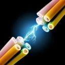 Drak production, wire and cable sales in Shiraz