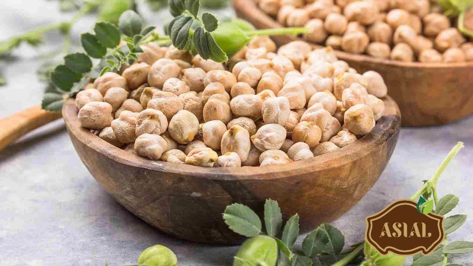 Buy high-quality cultivated and improved chickpea seeds The price of the day and shipping all over the country