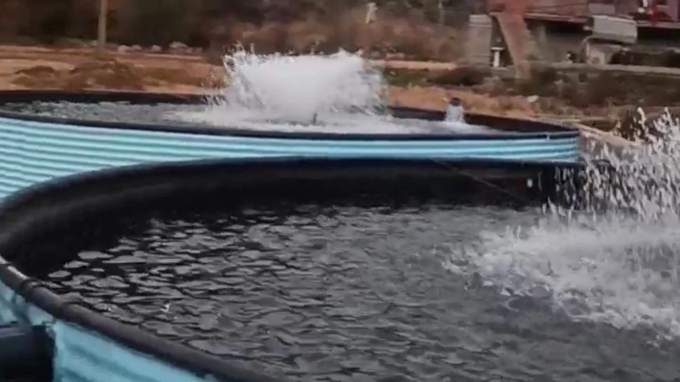 Implementation of prefabricated pond for fish breeding and agriculture by Parshin Nano Group