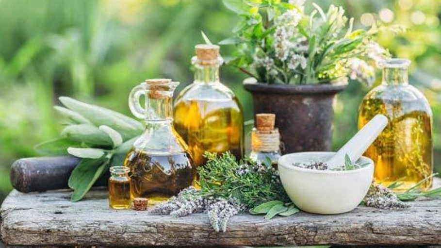 Attari Ibn Sina, selling all kinds of herbal medicines, spices and herbs in Sabzevar