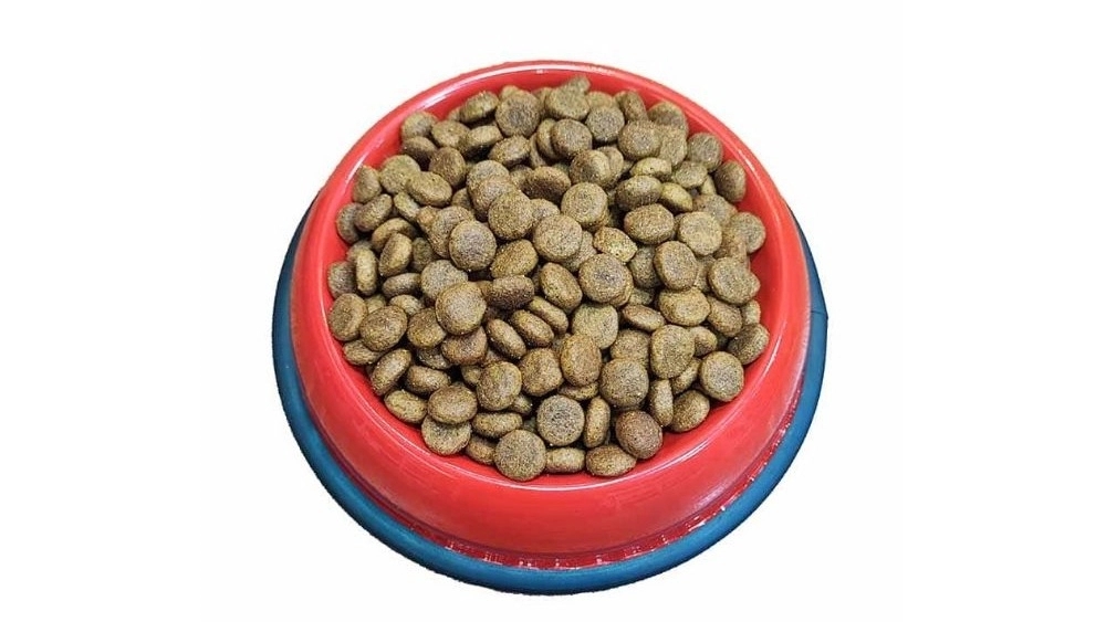 Maysa Pet Shop, selling pet supplies and food in Shiraz