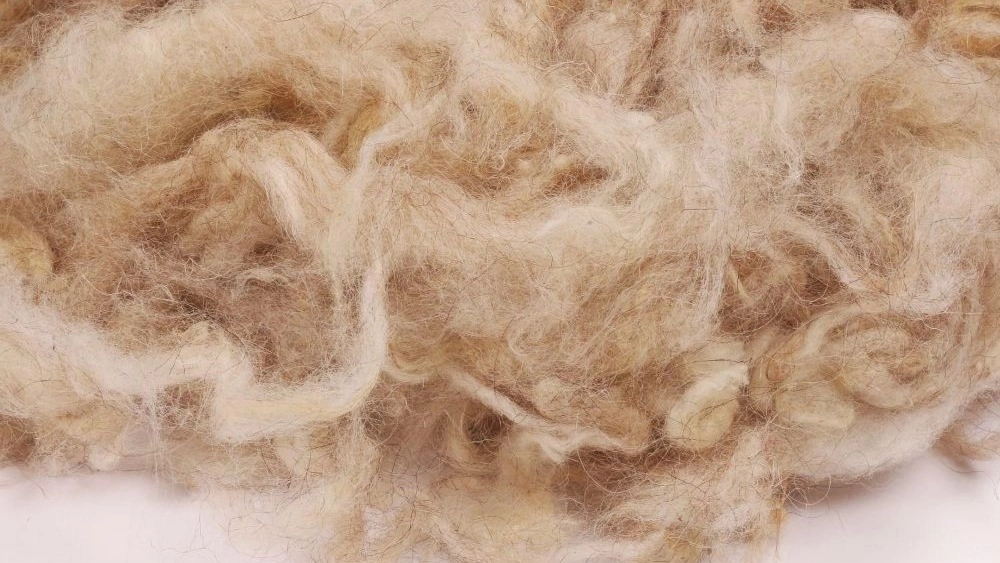 Shafi'i wool washing, buying and selling wool and spinning in Isfahan