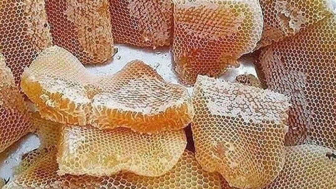 Abedi Honey Production, production and sale of natural honey in Marmisho Urmia