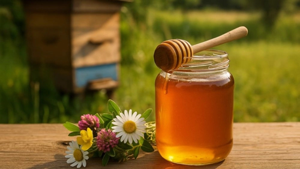 Keshavarz honey store, production and distribution of natural honey in Abhar Zanjan