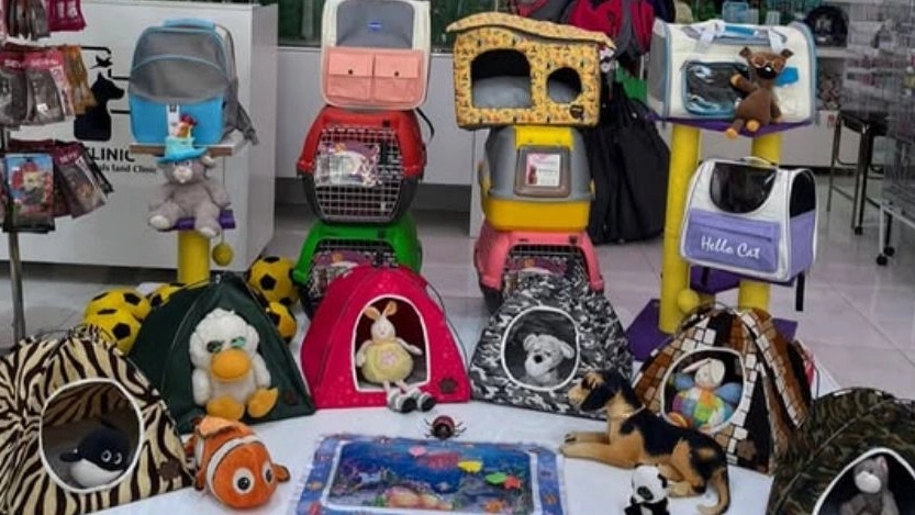 Animal land store, selling pet and bird supplies and equipment in Qazvin