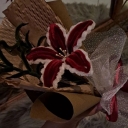 Eternal flower, fabric and sale of lampshades in Razavi Khorasan