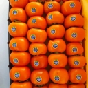 Ranjbar Trading, export and purchase of fruits and summer vegetables in Yazd