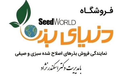 Dunyai Badr store, sale of all kinds of modified vegetable and summer seeds in Gonbadkaus
