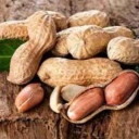 Badam Pour Abbas, production of distribution of peanuts, tea and dried fruit in Astana Ashrafieh