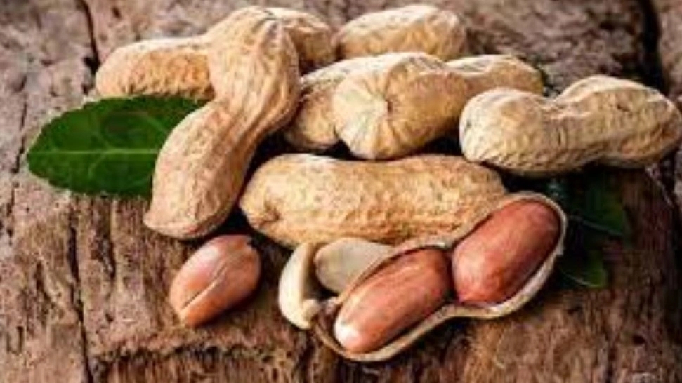 Badam Pour Abbas, production of distribution of peanuts, tea and dried fruit in Astana Ashrafieh