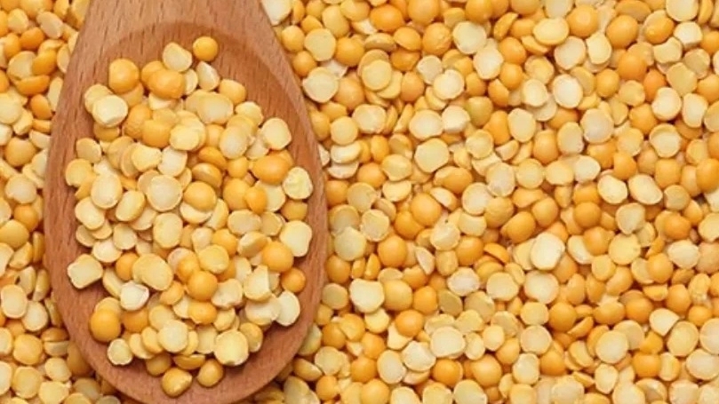 Tariqat Tejarat Adina Company, production and sale of cobs and all kinds of spices in Tabriz