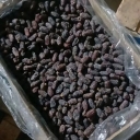 Darskar dates trading, supply and sale of Pyaram and specialty dates in Haji Abad, Hormozgan