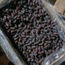 Darskar dates trading, supply and sale of Pyaram and specialty dates in Haji Abad, Hormozgan