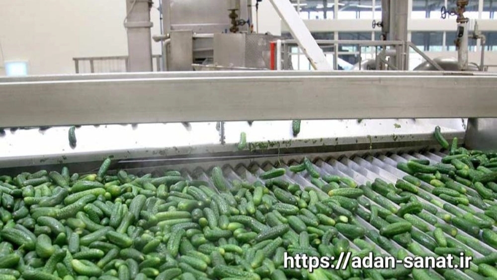 Construction of cucumber inspection tape to increase the accuracy of quality control in production