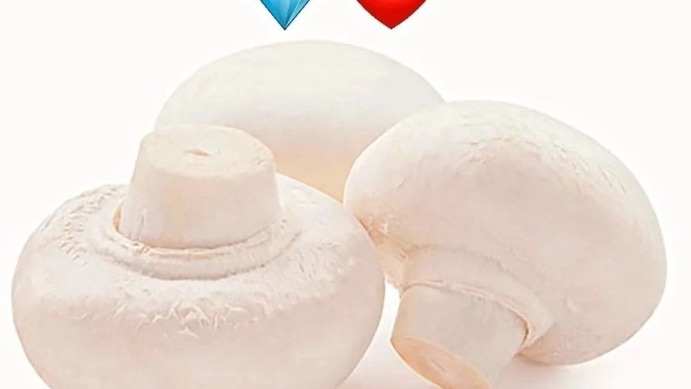 Rajabi mushroom village, buying and selling all kinds of mushrooms in Kashmir