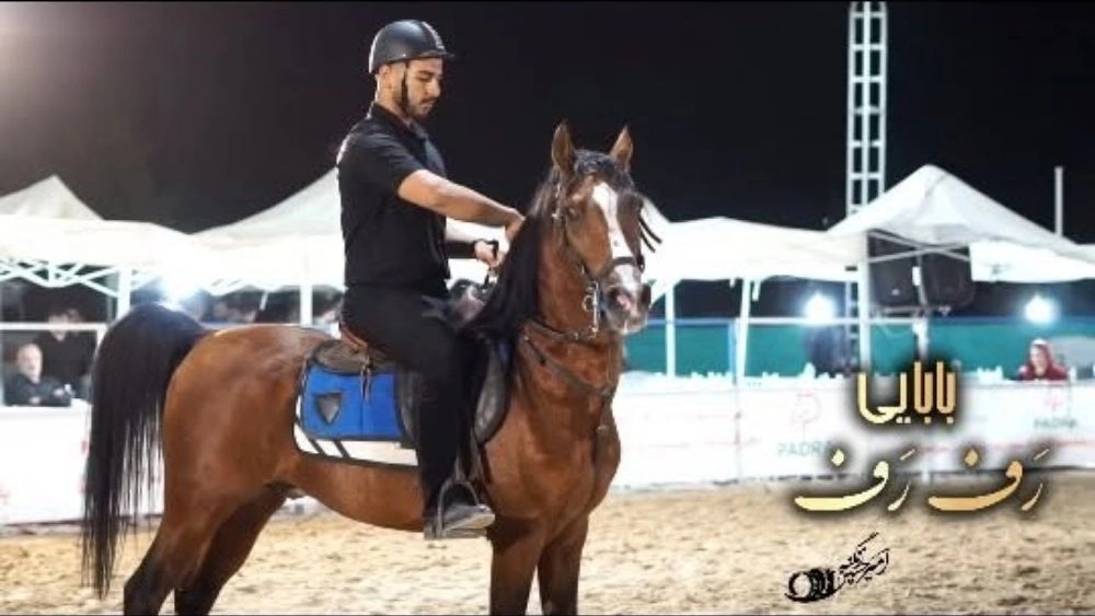 Shihe horse breeding farm, production and breeding of all kinds of horses in Kermanshah