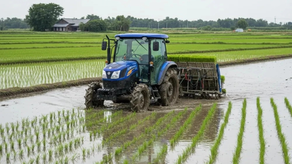 Towing the transplanter and its role in facilitating rice cultivation