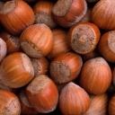 Asil Eshkur hazelnut store, selling all kinds of raw and roasted hazelnuts in Rasht