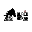 Black Horse Restaurant Cafe, serves a variety of Iranian and foreign dishes in Mashhad