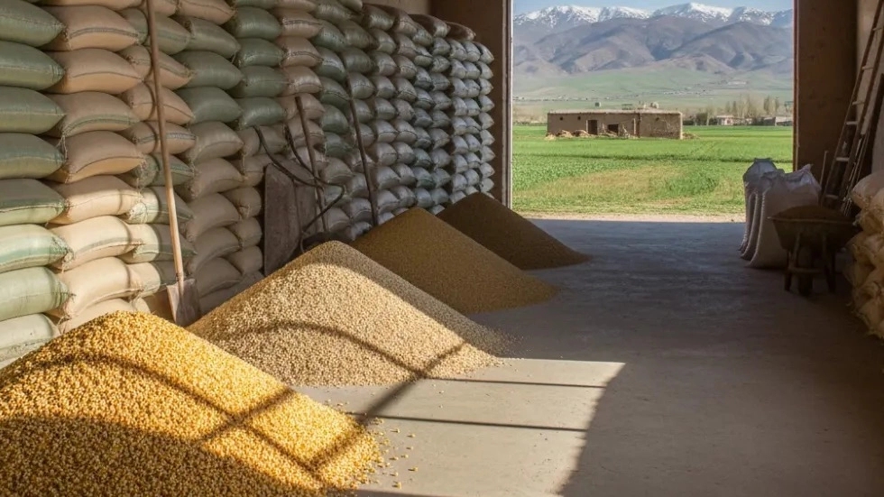 Sajjad Animal Feed, production and sale of livestock products in Qazvin