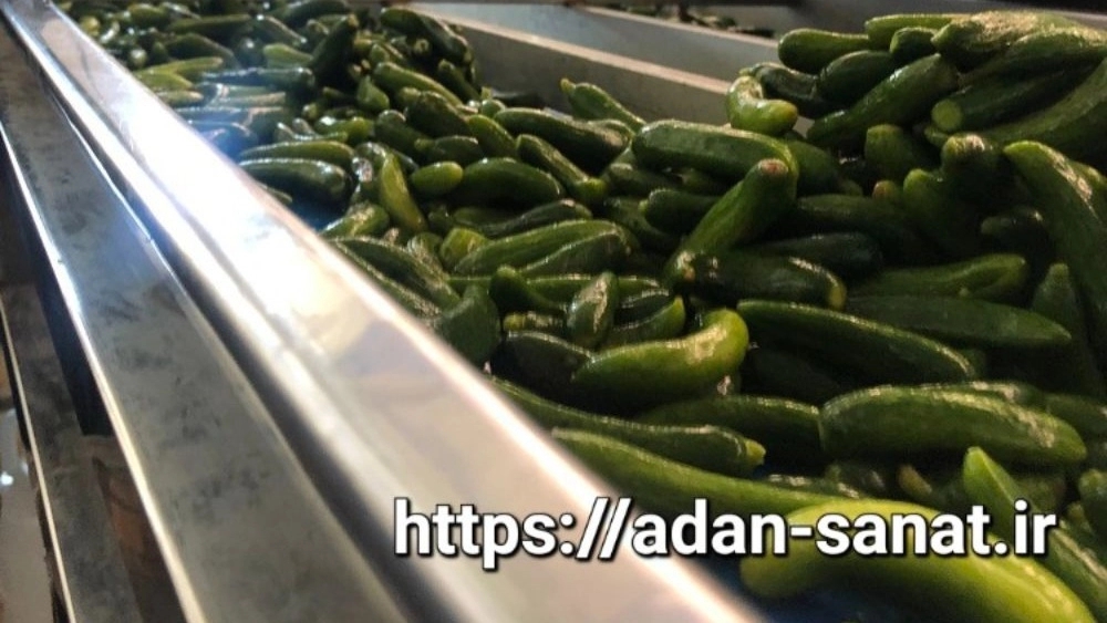 A comprehensive guide to manufacturing and selling cucumber filling tape for Shiraz industrial production line