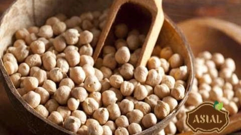 Selling large chickpeas at the best wholesale price Buy directly from the manufacturer