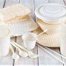 Arzan Sera Ali Ameri, selling disposable dishes and paper napkins in Tehran