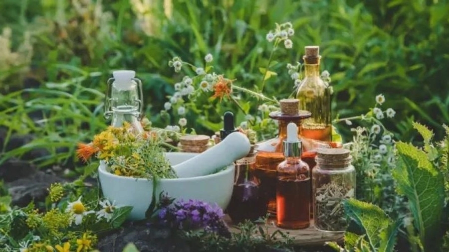 Ghatikadeh trading, wholesale sale and export of medicinal herbs and spices in Tehran