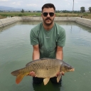 Falahati fish shop, buying and selling all kinds of carp and amur fish in Isfahan