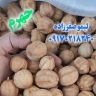 Safarzadeh Trading, sale of Omani lemons, spring oranges and dates in Jahrom