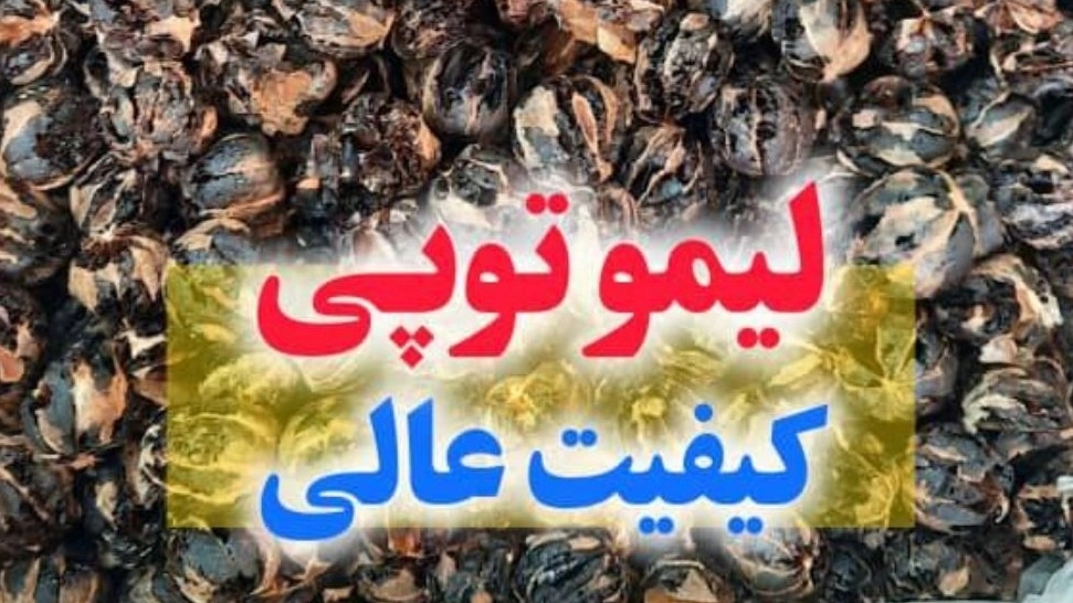 Safarzadeh Trading, sale of Omani lemons, spring oranges and dates in Jahrom