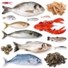 Ebrahimi store, sale and distribution of marine products in Bushehr