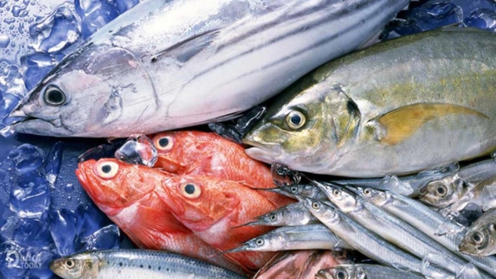 Ebrahimi store, sale and distribution of marine products in Bushehr