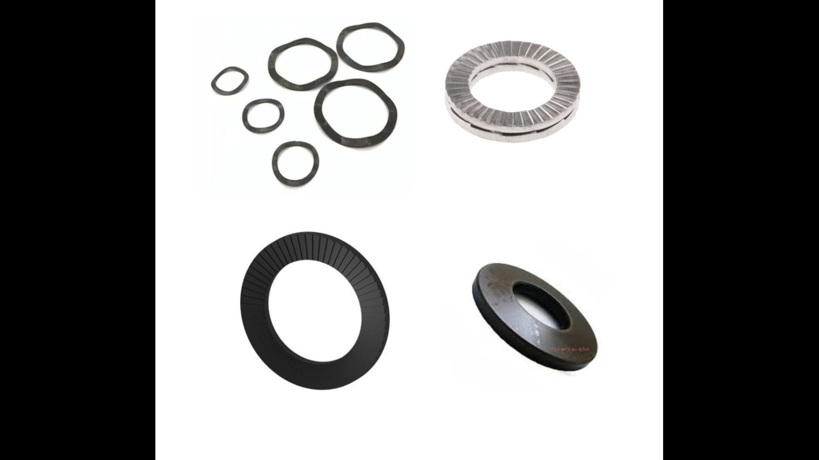 1000-point plate washers with double 1000-point wave spring in Rolltrans