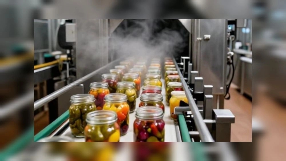 Pickles production line in Shiraz