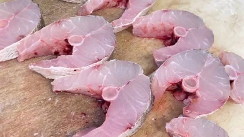 Oyster fish and shrimp, sale of Shir Qabad and salted fish in Shiraz