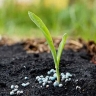 Elva Gol agricultural services, sales of organic and biological fertilizers in Lamard