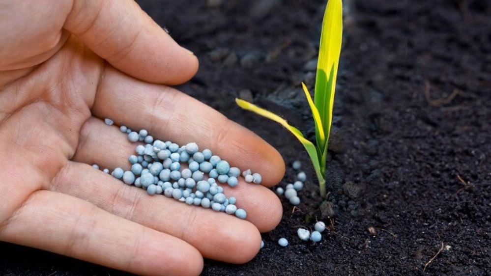 Elva Gol agricultural services, sales of organic and biological fertilizers in Lamard