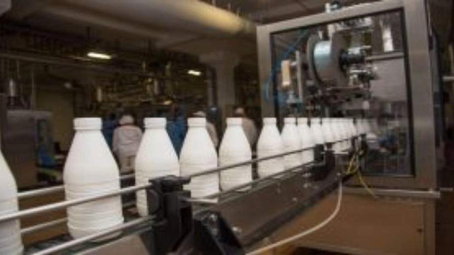 Sale of professional dairy machine in Tehran