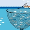 Hamon Langar store, selling all kinds of fishing equipment and tours in Zabul